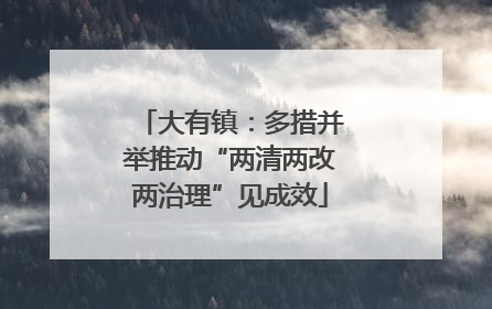 大有镇：多措并举推动“两清两改两治理”见成效
