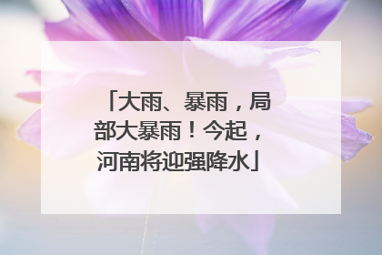 大雨、暴雨，局部大暴雨！今起，河南将迎强降水