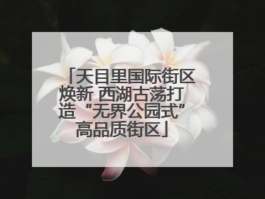天目里国际街区焕新 西湖古荡打造“无界公园式”高品质街区