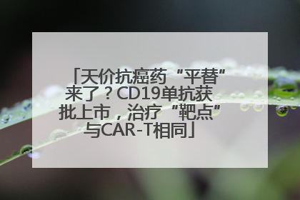 天价抗癌药“平替”来了？CD19单抗获批上市，治疗“靶点”与CAR-T相同