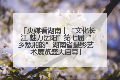 央媒看湖南丨“文化长江 魅力岳阳”第七届“乡愁湘韵”湖南省摄影艺术展览盛大启幕