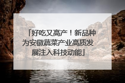 好吃又高产！新品种为安徽蔬菜产业高质发展注入科技动能