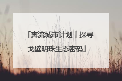 奔流城市计划丨探寻戈壁明珠生态密码