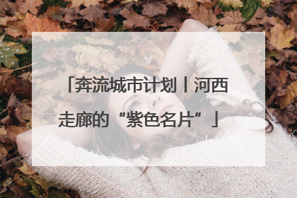 奔流城市计划丨河西走廊的“紫色名片”