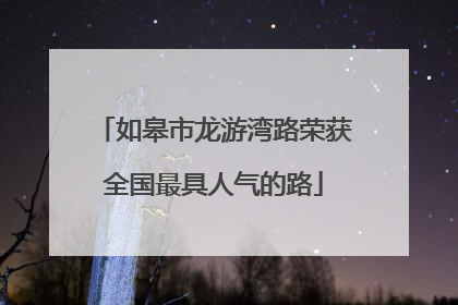 如皋市龙游湾路荣获全国最具人气的路