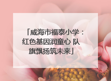 威海市福泰小学：红色基因润童心 队旗飘扬筑未来