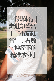 媒体行｜走进凯盛浩丰“番茄硅谷”：看数字神经下的精准农业