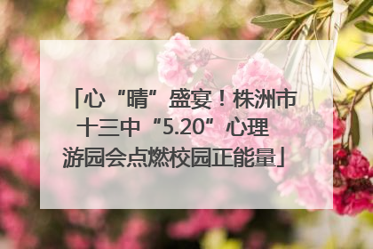 心“晴”盛宴！株洲市十三中“5.20”心理游园会点燃校园正能量