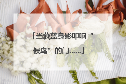 当藏蓝身影叩响“候鸟”的门……