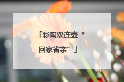 彩陶双连壶“回家省亲”
