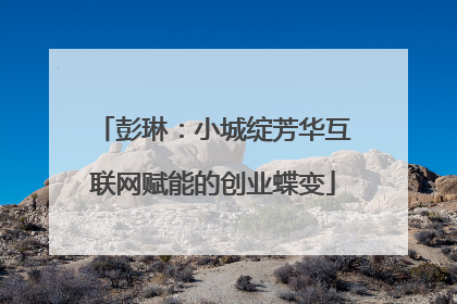 彭琳：小城绽芳华互联网赋能的创业蝶变