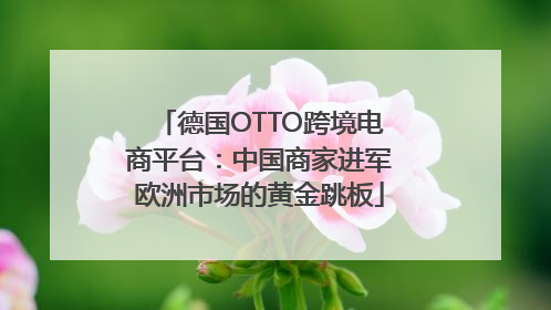德国OTTO跨境电商平台：中国商家进军欧洲市场的黄金跳板