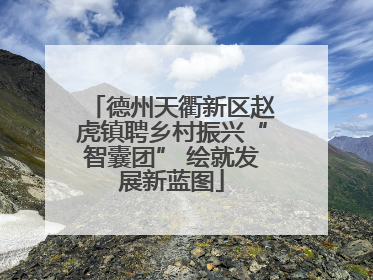 德州天衢新区赵虎镇聘乡村振兴“智囊团” 绘就发展新蓝图