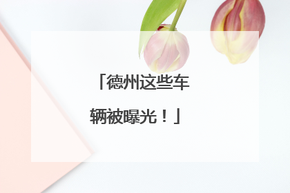 德州这些车辆被曝光！