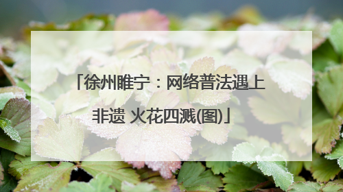 徐州睢宁：网络普法遇上非遗 火花四溅(图)