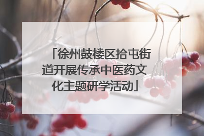徐州鼓楼区拾屯街道开展传承中医药文化主题研学活动