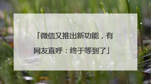 微信又推出新功能，有网友直呼：终于等到了