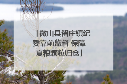 微山县留庄镇纪委靠前监督 保障夏粮颗粒归仓