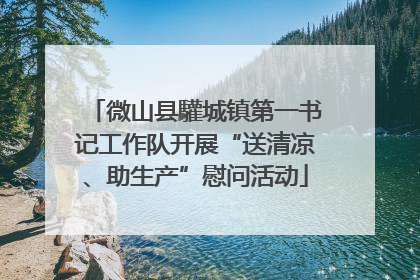 微山县驩城镇第一书记工作队开展“送清凉、助生产”慰问活动