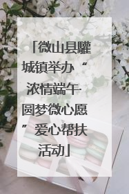 微山县驩城镇举办“浓情端午·圆梦微心愿”爱心帮扶活动