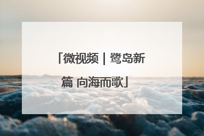 微视频｜鹭岛新篇 向海而歌