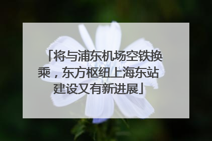 将与浦东机场空铁换乘，东方枢纽上海东站建设又有新进展