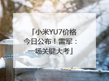 小米YU7价格今日公布！雷军：一场关键大考
