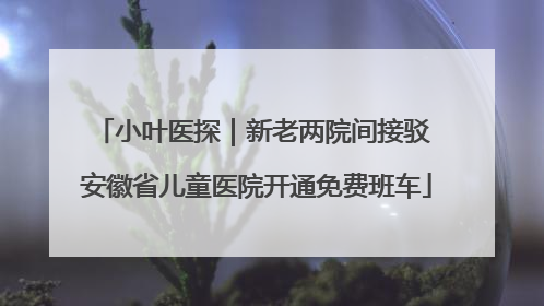 小叶医探｜新老两院间接驳 安徽省儿童医院开通免费班车