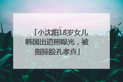 小沈阳18岁女儿韩国出道照曝光，被指撞脸孔孝真