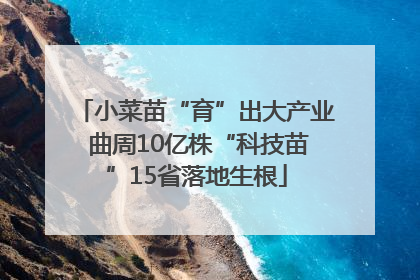 小菜苗“育”出大产业 曲周10亿株“科技苗”15省落地生根