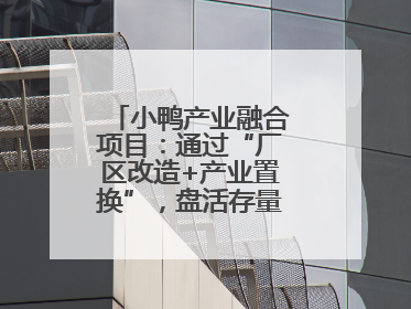 小鸭产业融合项目：通过“厂区改造+产业置换”，盘活存量，增值增效