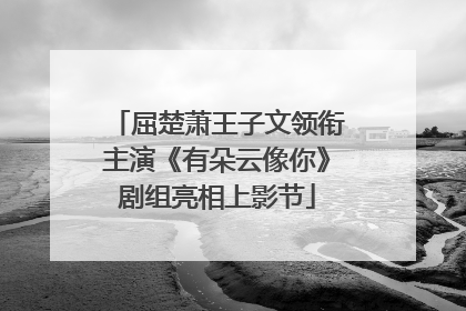 屈楚萧王子文领衔主演《有朵云像你》剧组亮相上影节