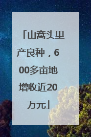 山窝头里产良种，600多亩地增收近20万元