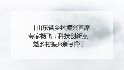 山东省乡村振兴首席专家杨飞：科技创新点燃乡村振兴新引擎