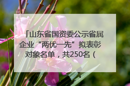 山东省国资委公示省属企业“两优一先”拟表彰对象名单，共250名（个）党员和党组织