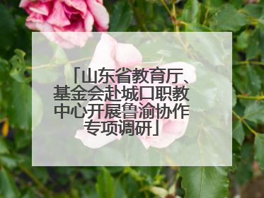 山东省教育厅、基金会赴城口职教中心开展鲁渝协作专项调研