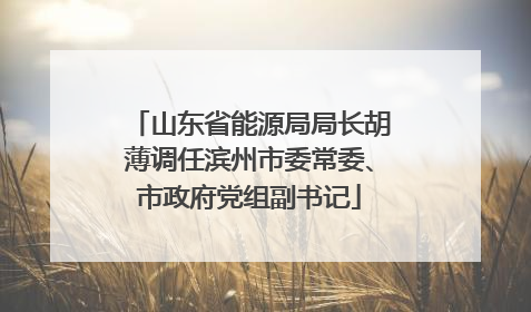 山东省能源局局长胡薄调任滨州市委常委、市政府党组副书记