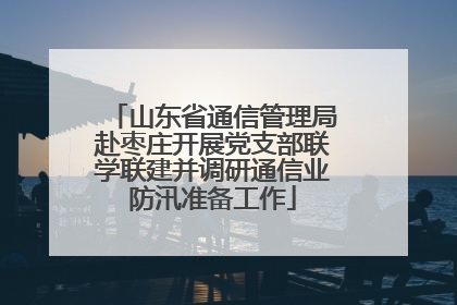 山东省通信管理局赴枣庄开展党支部联学联建并调研通信业防汛准备工作