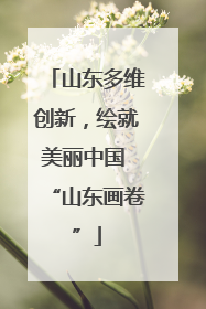 山东多维创新，绘就美丽中国 “山东画卷”