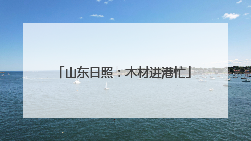 山东日照：木材进港忙