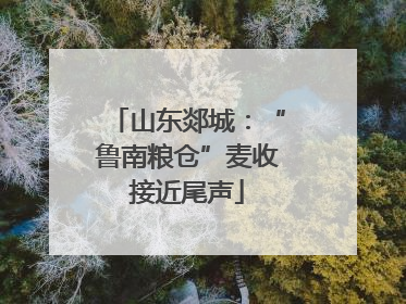 山东郯城：“鲁南粮仓”麦收接近尾声