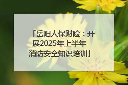 岳阳人保财险：开展2025年上半年消防安全知识培训