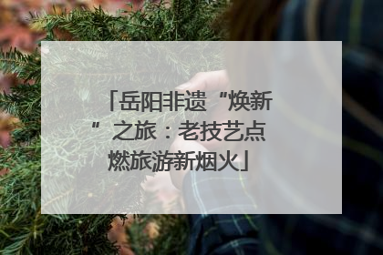 岳阳非遗“焕新”之旅：老技艺点燃旅游新烟火