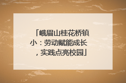 峨眉山桂花桥镇小：劳动赋能成长，实践点亮校园