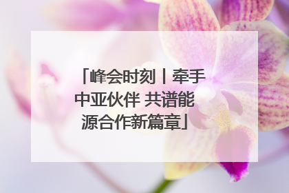 峰会时刻丨牵手中亚伙伴 共谱能源合作新篇章