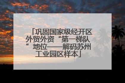 巩固国家级经开区外贸外资“第一梯队”地位——解码苏州工业园区样本