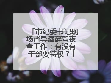市纪委书记现场督导酒醉驾夜查工作：有没有干部耍特权？