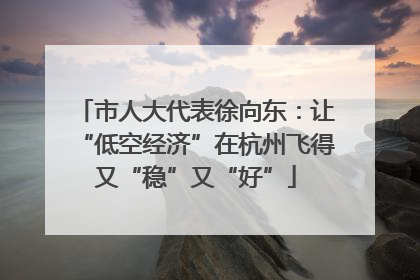 市人大代表徐向东：让“低空经济”在杭州飞得又“稳”又“好”