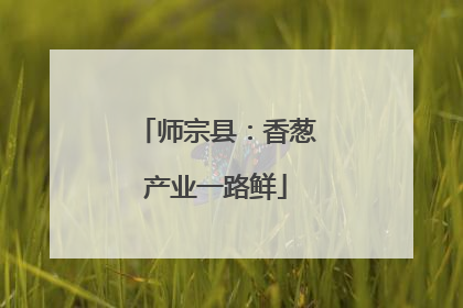 师宗县：香葱产业一路鲜