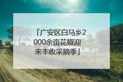 广安区白马乡2000余亩花椒迎来丰收采摘季